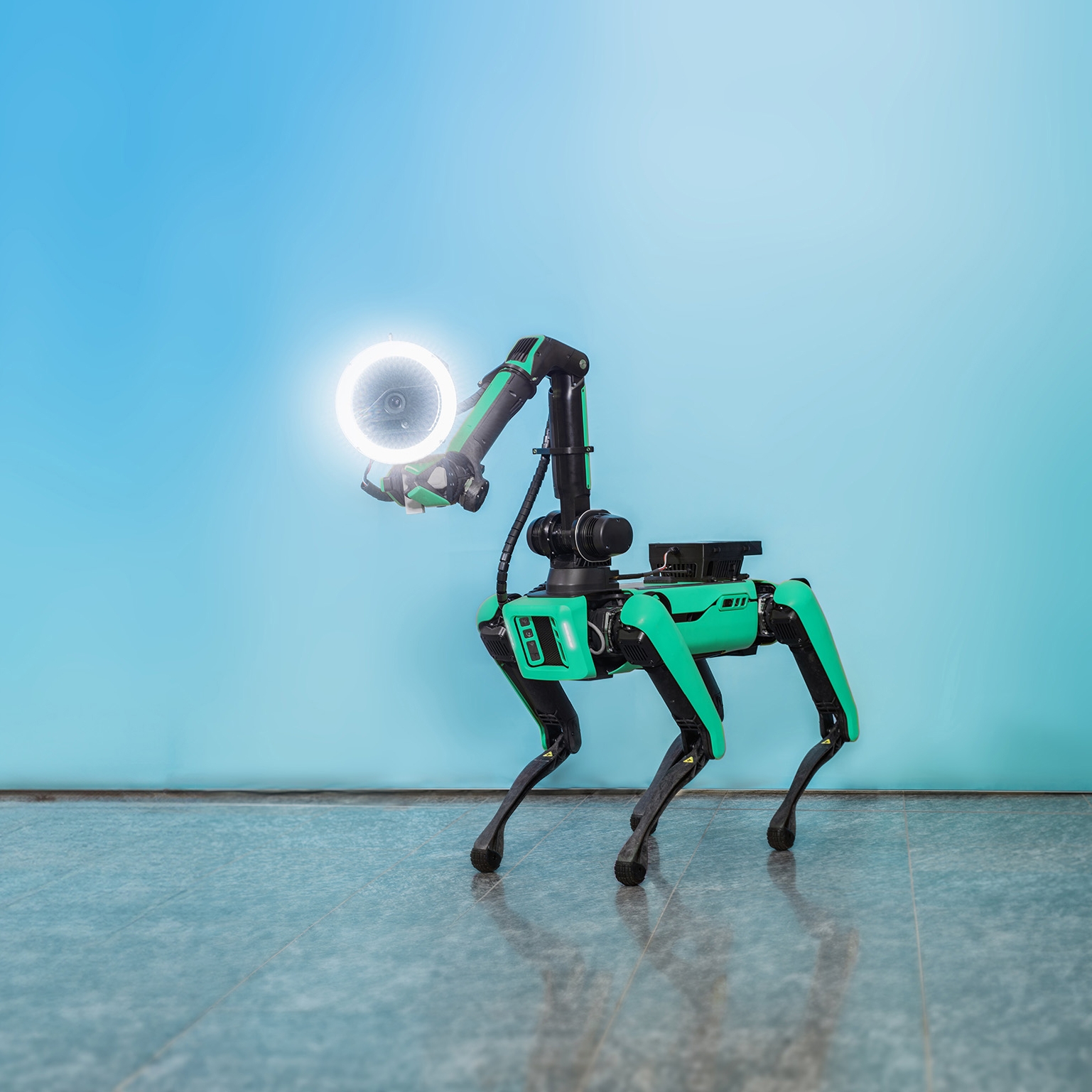 Schreitrobotor für die autonome 3D-Dokumentation