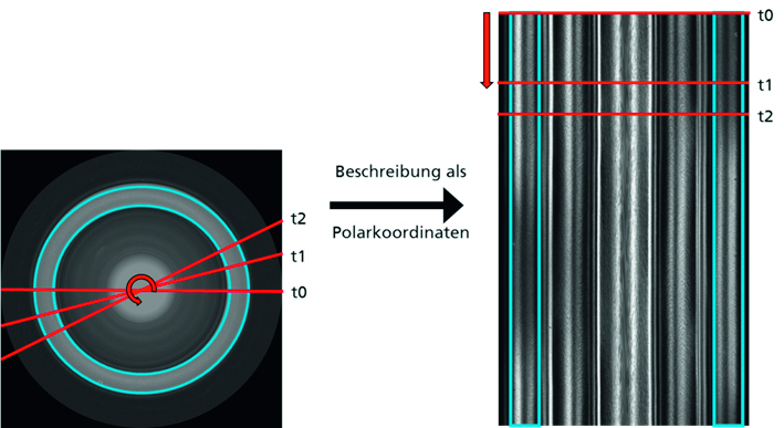 Beschreibung einer Dehnzelle als Polarkoordinaten