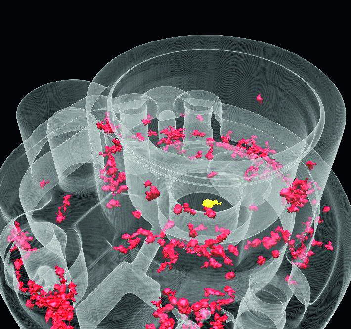 3D-Darstellung von detektierten Porositäten