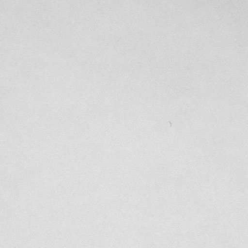 Beispiel eines Punktfehlers auf einem Papierbogen
