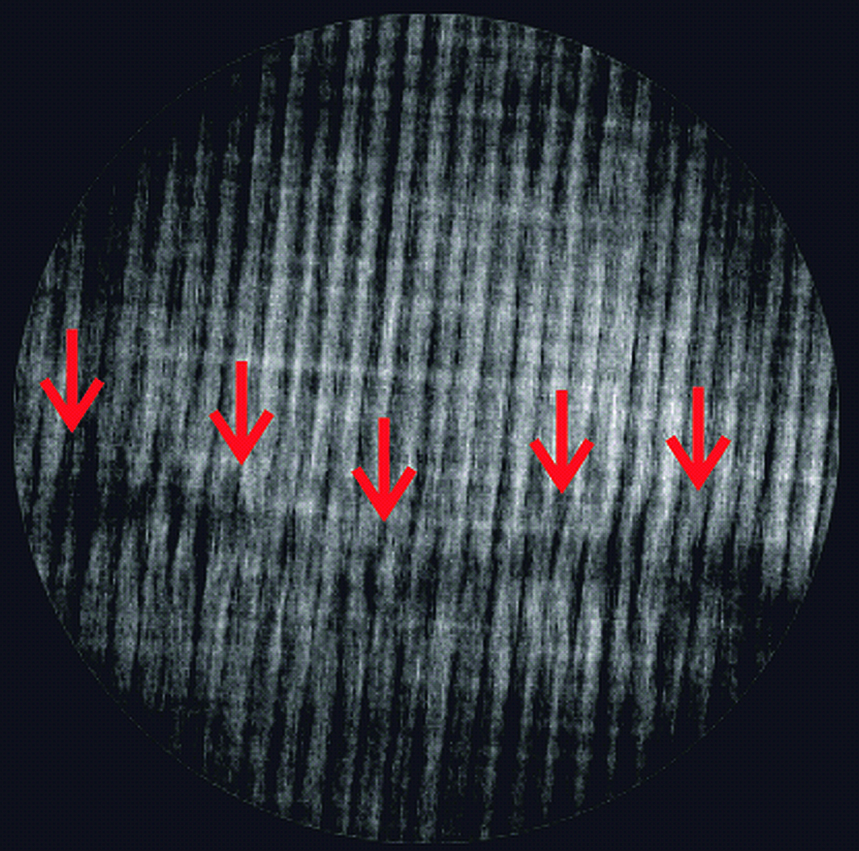 CLARA (CAD-Ansicht) Computer-Laminographie- und Radiographie-Anlage zur Untersuchung großer Bauteile bis 1,5 m Breite und 300 kg Gewicht