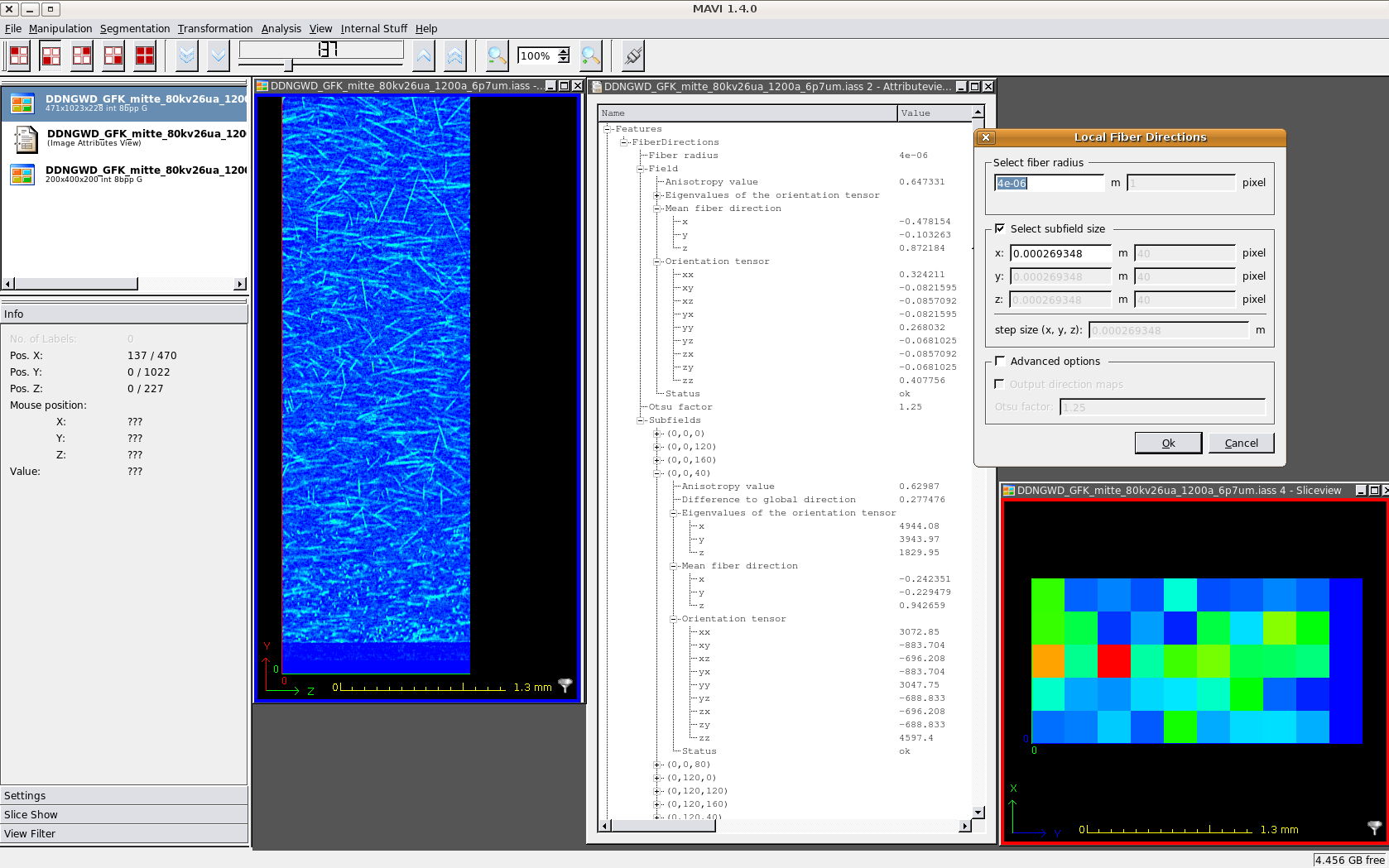 Screenshot des Moduls zur Faserrichtungsanalyse in MAVI 1.4
