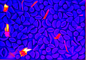 Fremdkörpererkennung in Weingummis - Thermographie