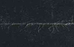 Beschichtete Metallplatte