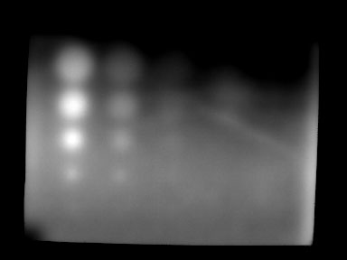 Thermographisches Rohbild der Lochplatte