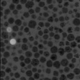 Mineralschaumkugel KeraPlus Querschnitt Polyamidmatrix