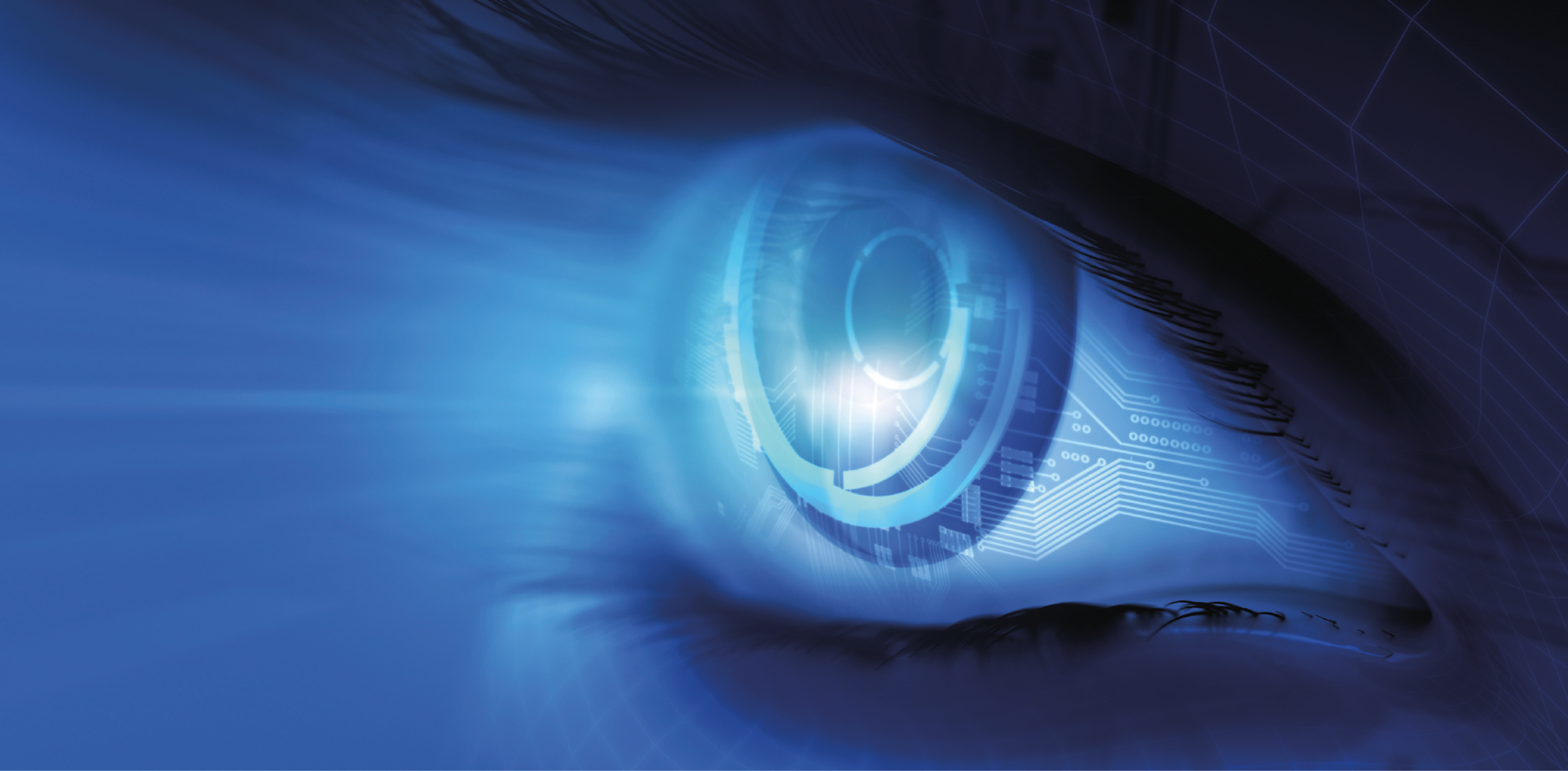 Vision and Imaging Technologies Fraunhofer HHI