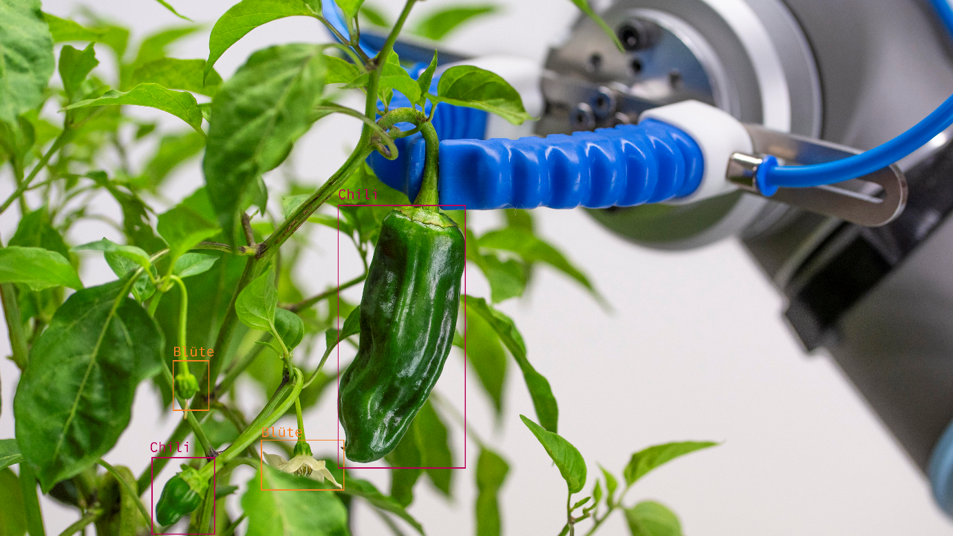 Automatisierte Lokalisierung von Früchten sowie robotische Erntelösung