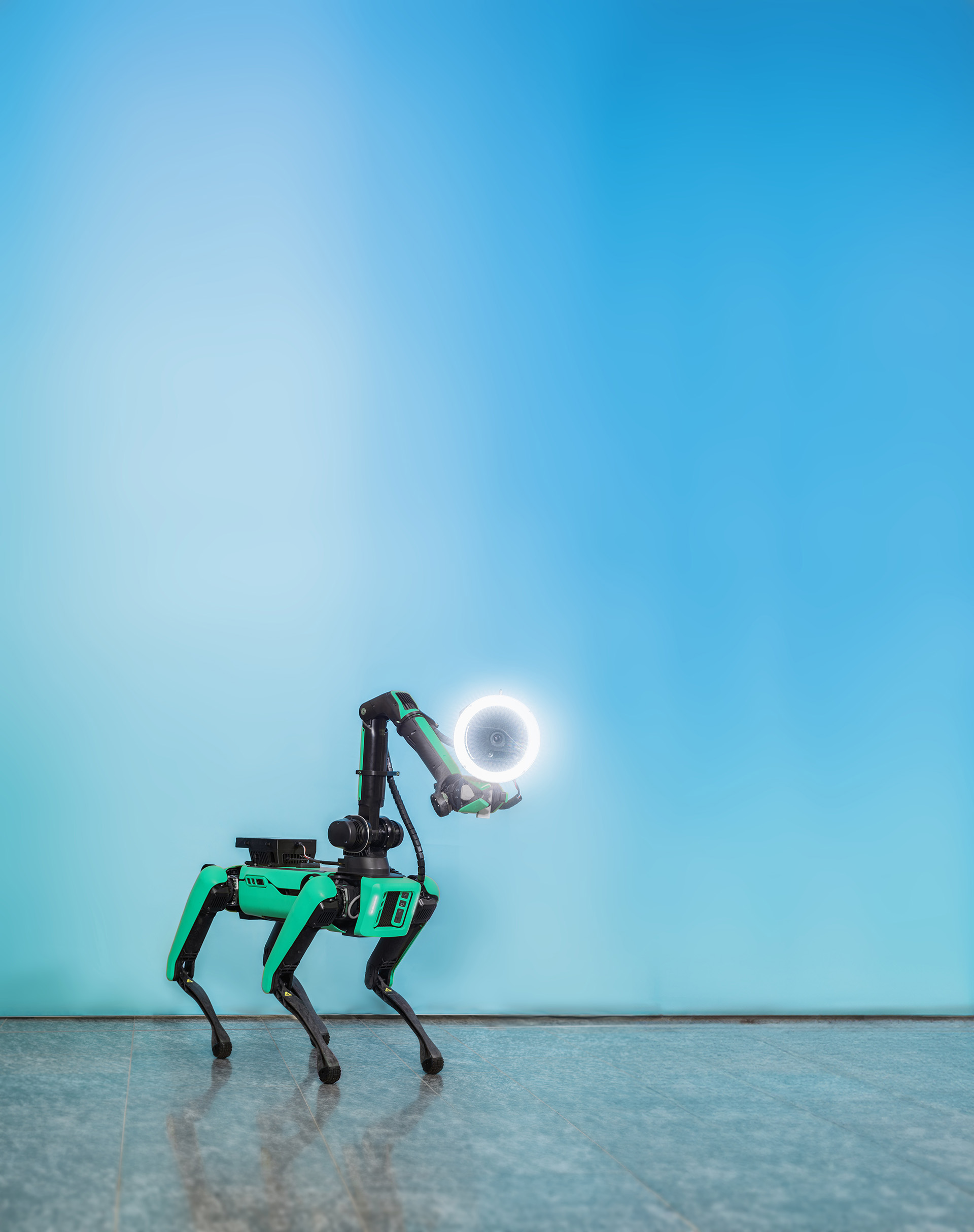 Walking robot with handscanner