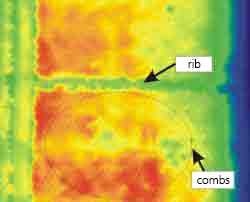 Thermography honeycomb structure visible rib