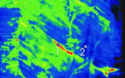 Thermographic image of adhesion defect in false color display