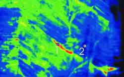 Thermographic image of adhesion defect in false color display
