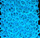 Open foam